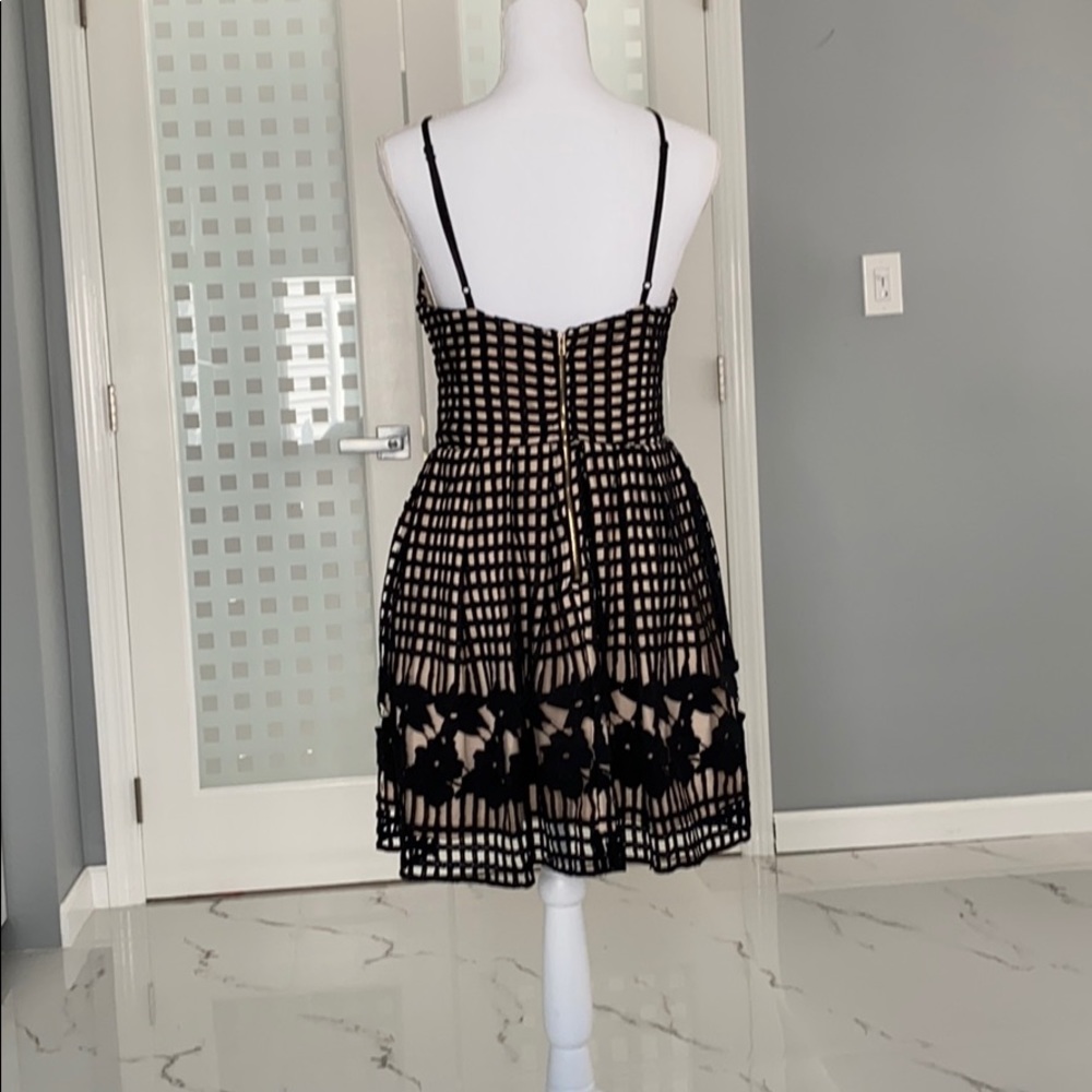 Aqua Black and nude lace dress